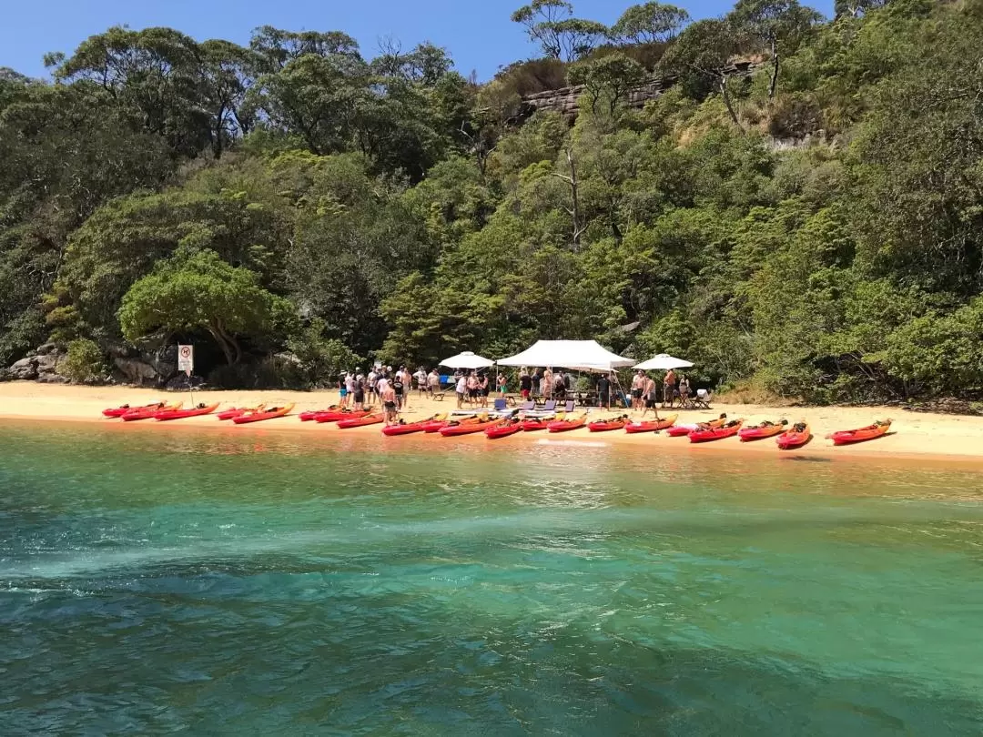 澳洲曼利海灘野餐＆獨木舟體驗