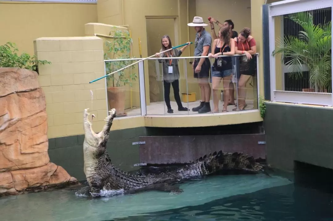 Big Croc Feeding and Guided Tour in Darwin