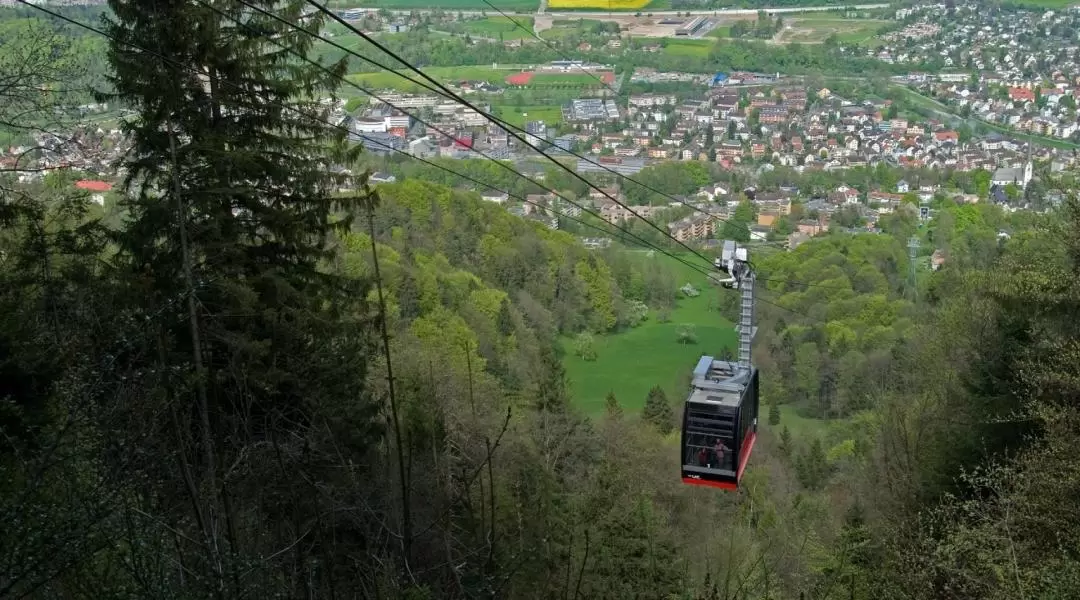 Sunset Tour and Cheese Fondue Dinner in Zurich