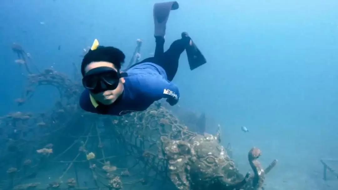 ムンジャンガン島 日帰りダイビングツアー（バリ / Bali Diving Academy提供）