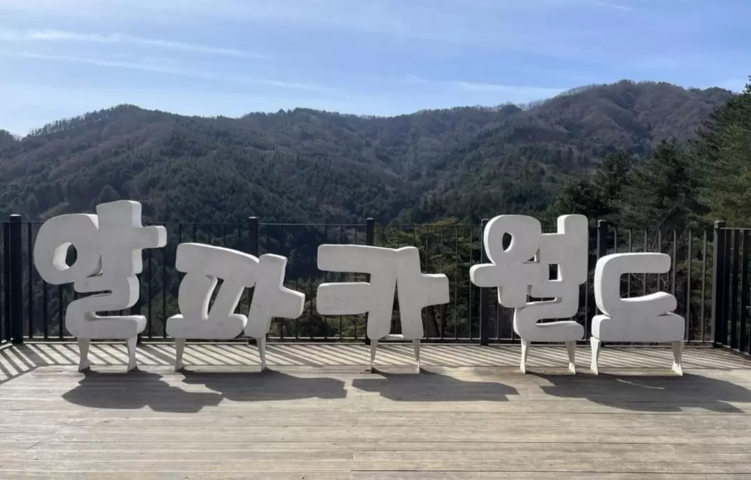 Customized Alpaca World & Nami Island & Gangchon Rail Bike Day Tour