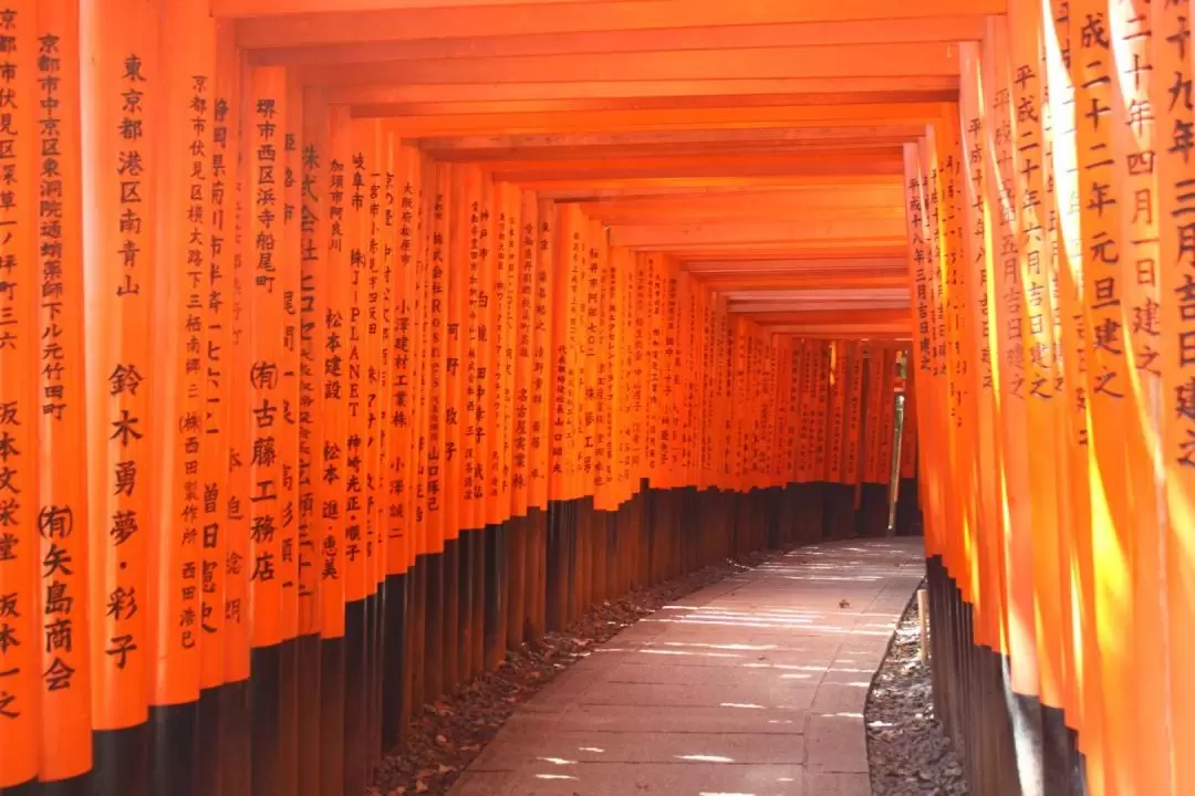 Kyoto and Nara Day Tour from Osaka/Kyoto