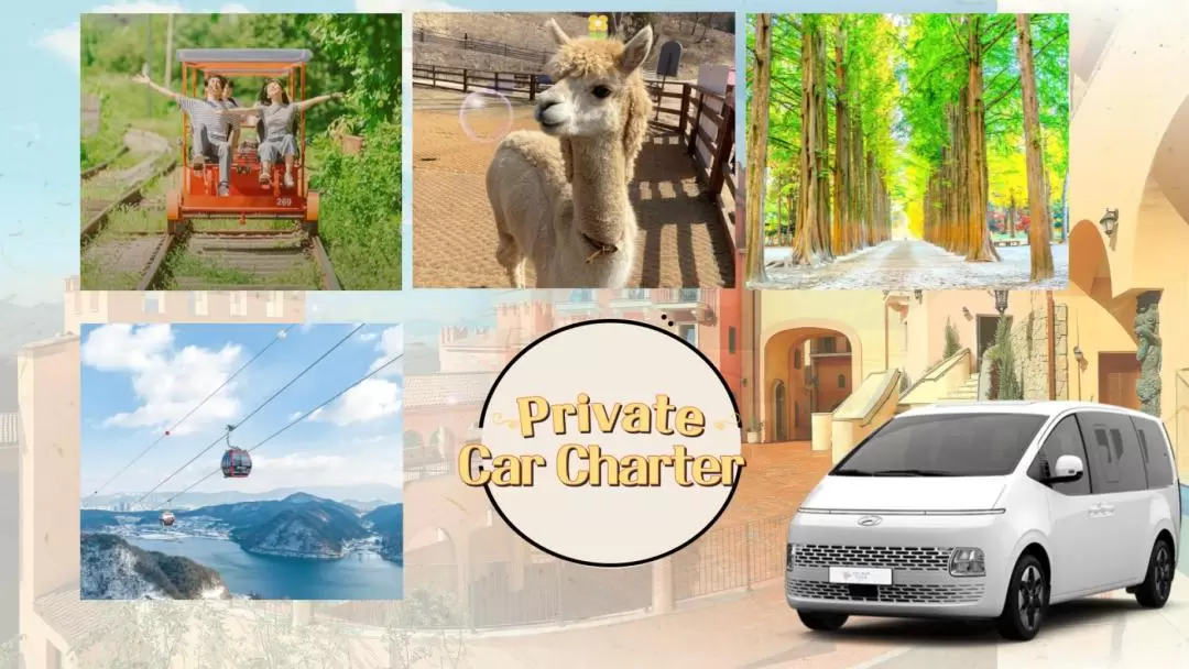 Customized Alpaca World & Nami Island & Gangchon Rail Bike Day Tour