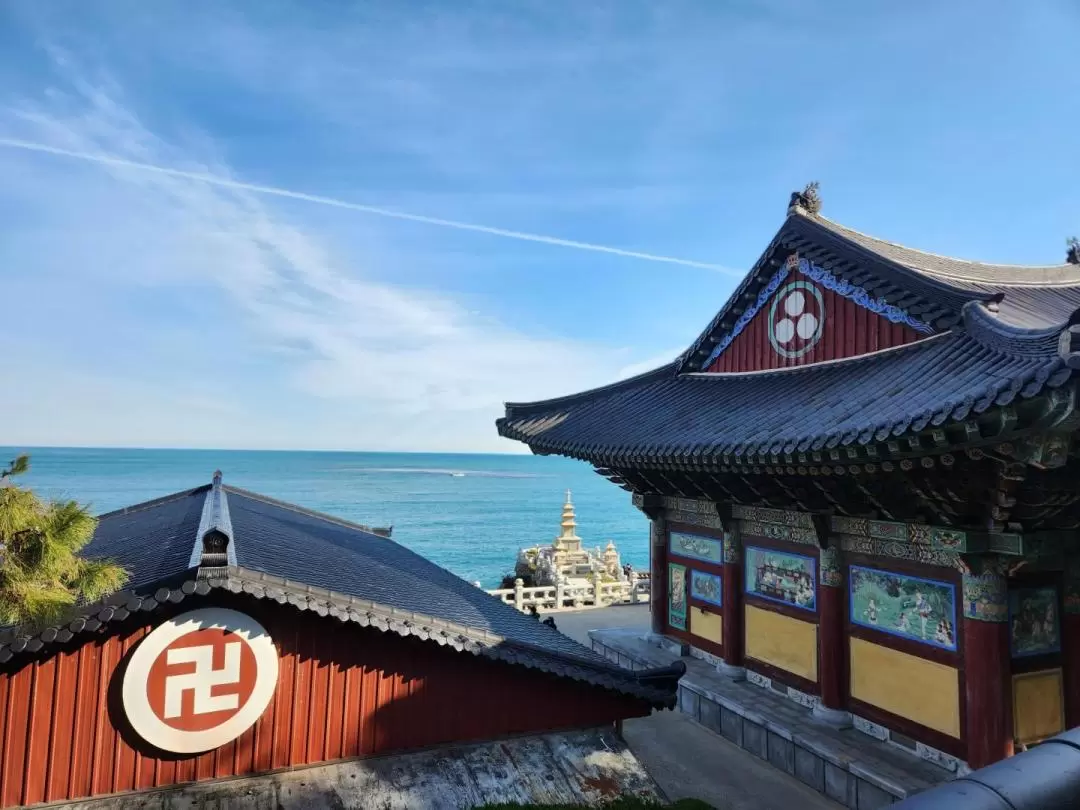 Busan Must-visit 1 Day Tour : Blue line Sky Capsule & Beach Train