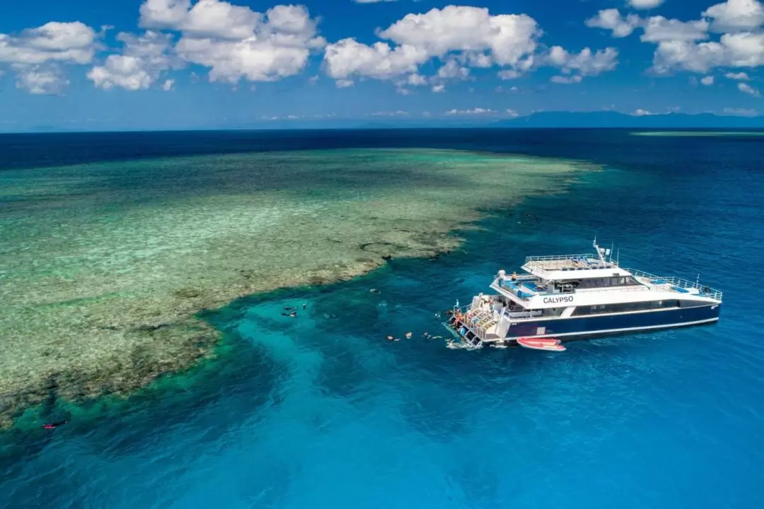 Agincourt Reef Snorkeling Experience from Port Douglas, Cairns or Northern Beaches