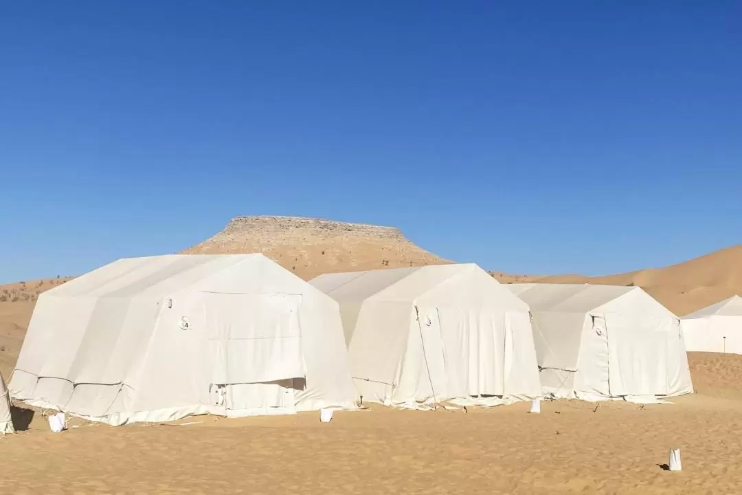 튀니지 사하라 사막 1박 사파리 체험 (제르바 출발)