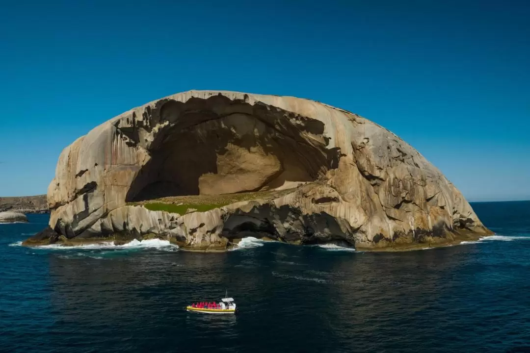 Wilsons Promontory Wildlife Cruise 