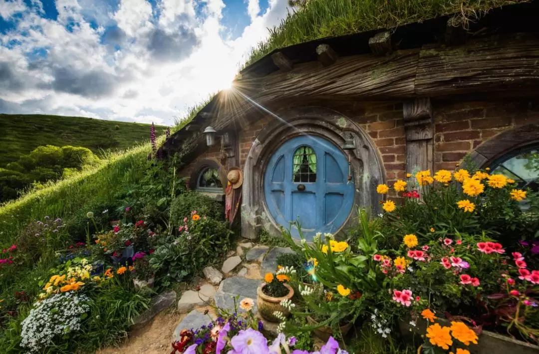 Hobbiton Movie Set Guided Tour 