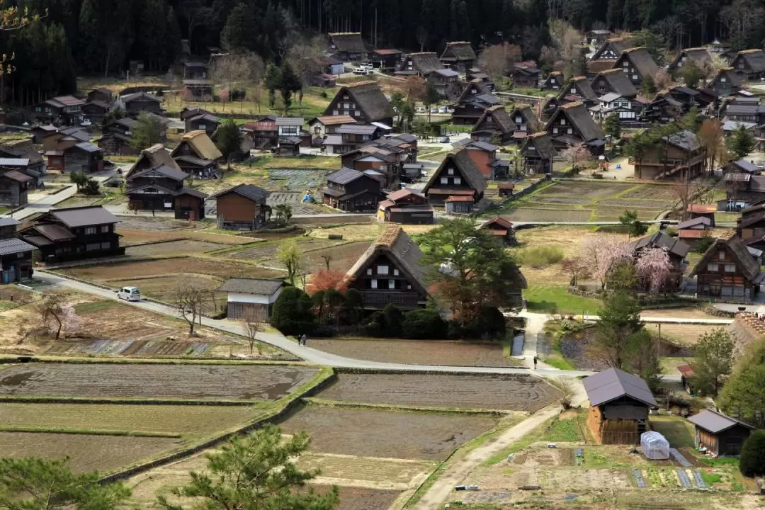 Hida Takayama & Shirakawa-go Gassho Village One Day Tour from Nagoya