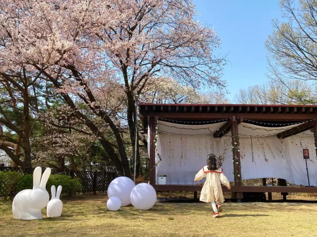 南怡島 & 江村鐵路自行車 & 晨靜樹木園 & 山羊小屋（Happy meadow ranch）之旅