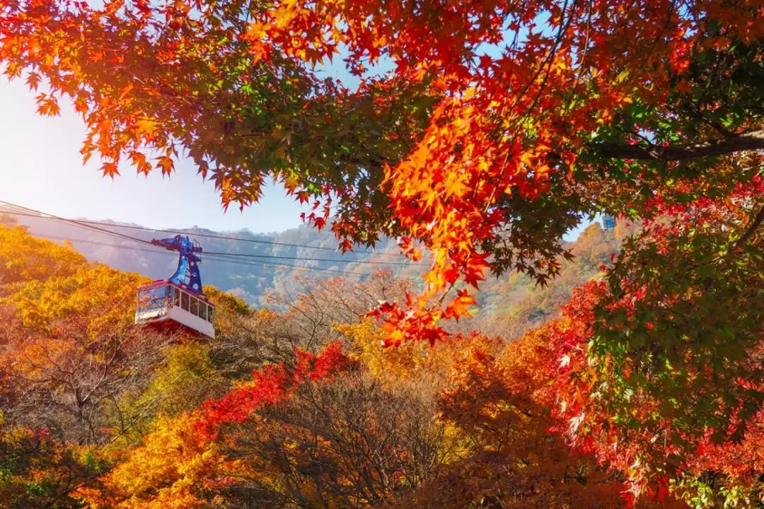 內藏山國立公園賞楓一日遊（首爾出發）