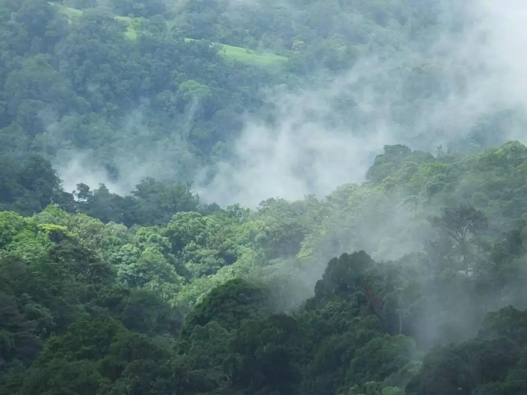 果達古最高Tadiyandamol山頂徒步