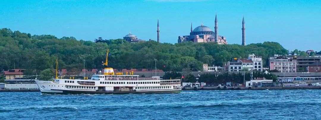 伊斯坦布爾博斯普魯斯海峽遊輪巡航之旅（含語音導覽）