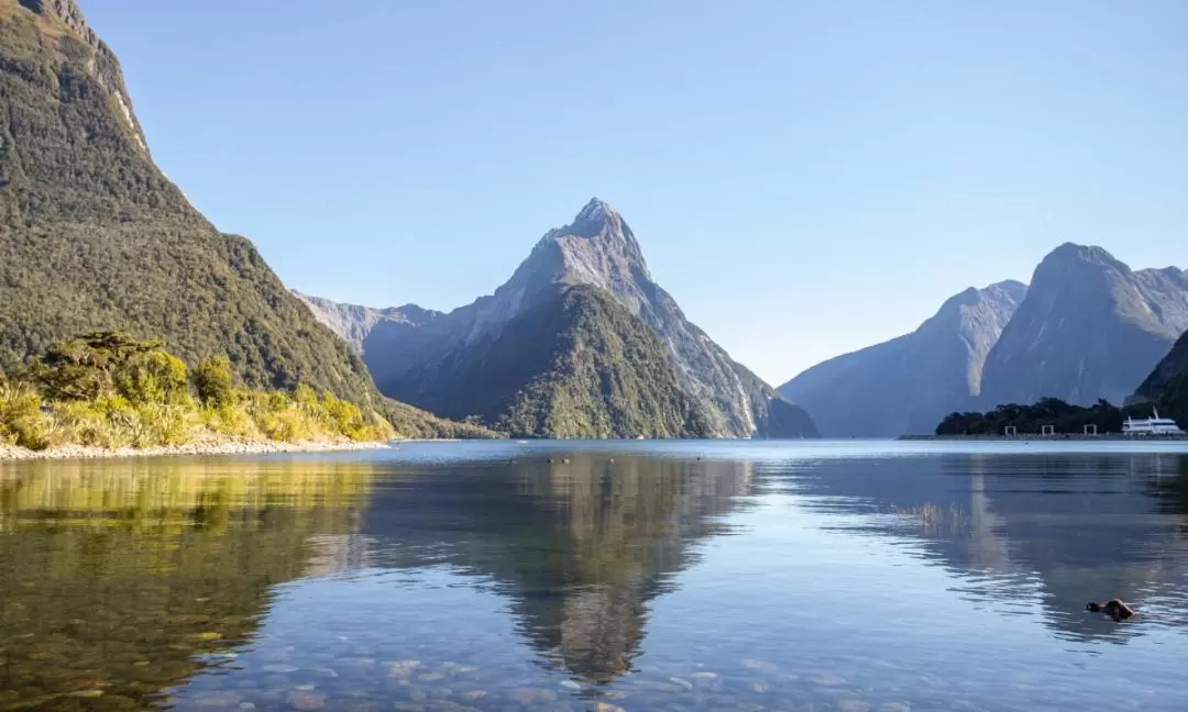 Small Group Iconic Milford Sound Tour from Queenstown