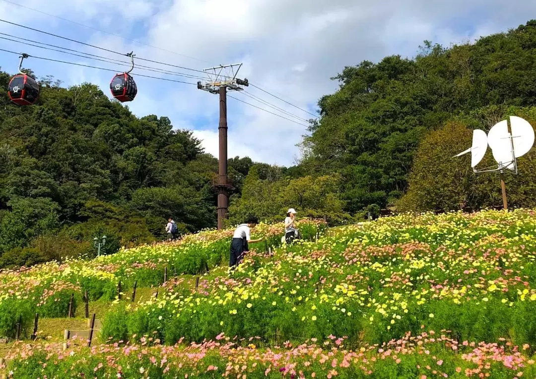 Kobe Highlights Day Tour with Sake Tasting