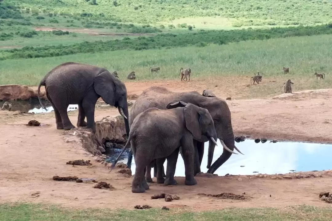 Hell's Gate Day Tour from Nairobi