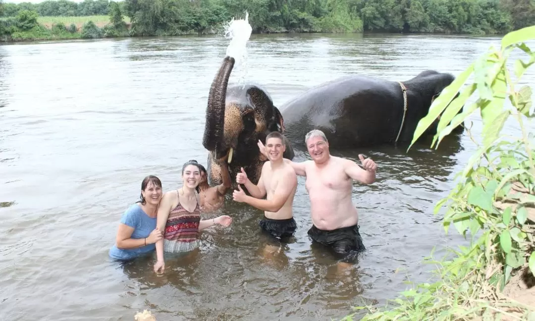 Chang Puak Elephant Camp in Kanchanaburi