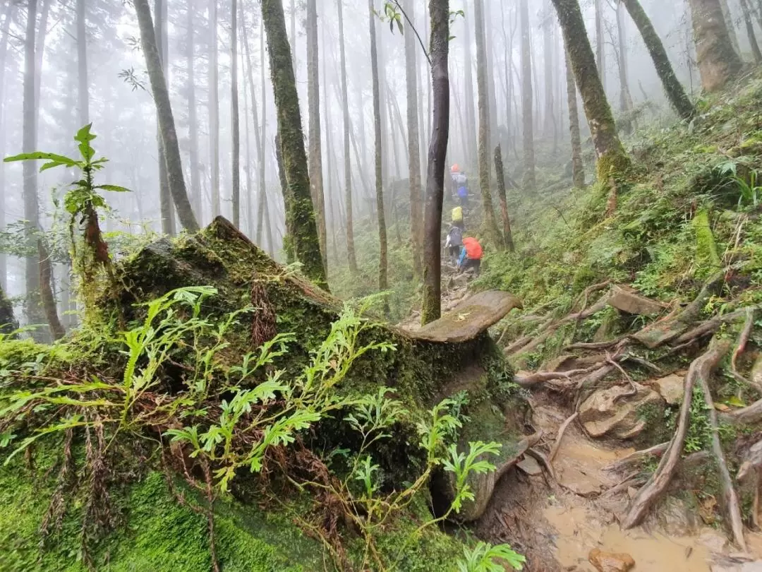 1泊2日 松羅湖 テント泊登山ツアー（宜蘭）