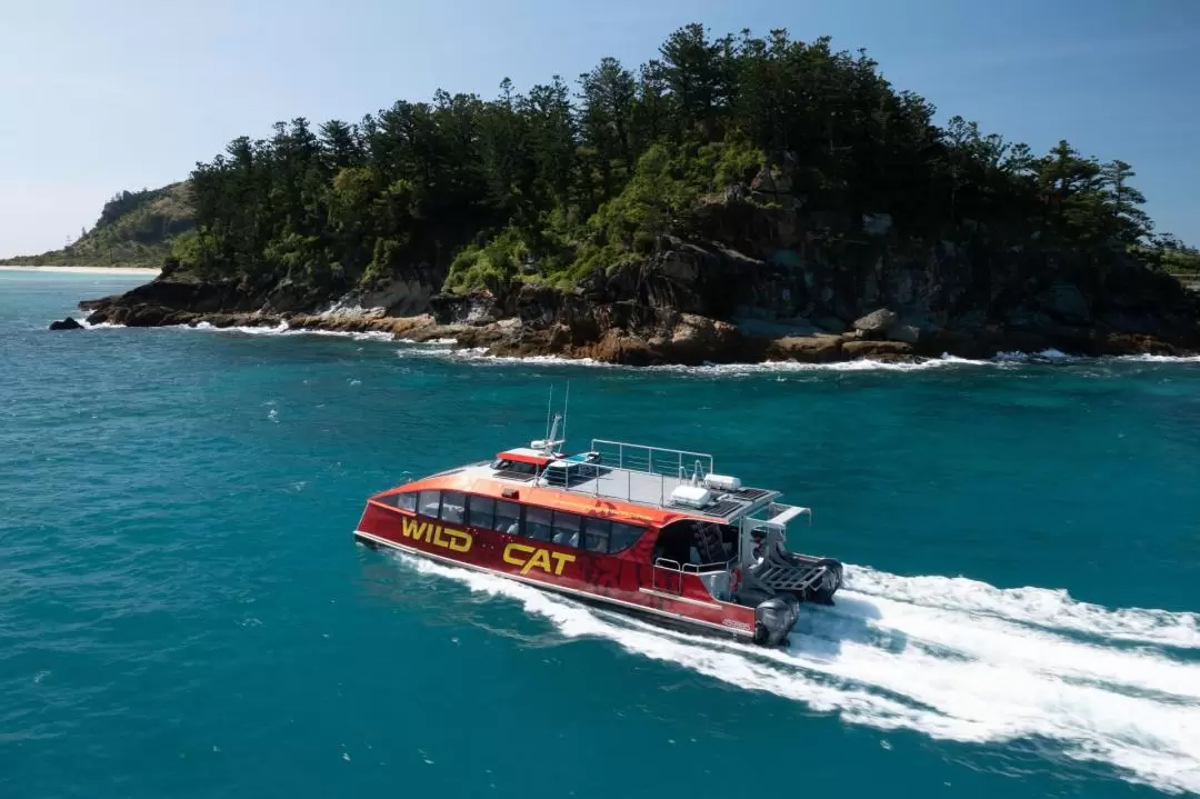 Great Barrier Reef Snorkel & Islands Day Tour from Mackay Harbour