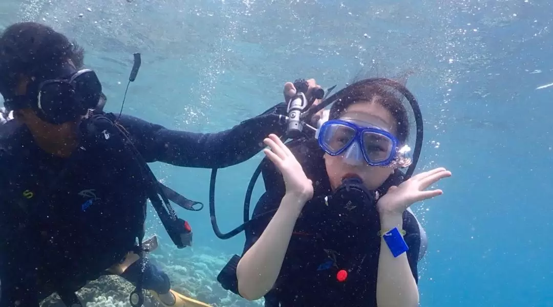 Nha Trang Scuba Diving and Snorkeling Private Day Tour