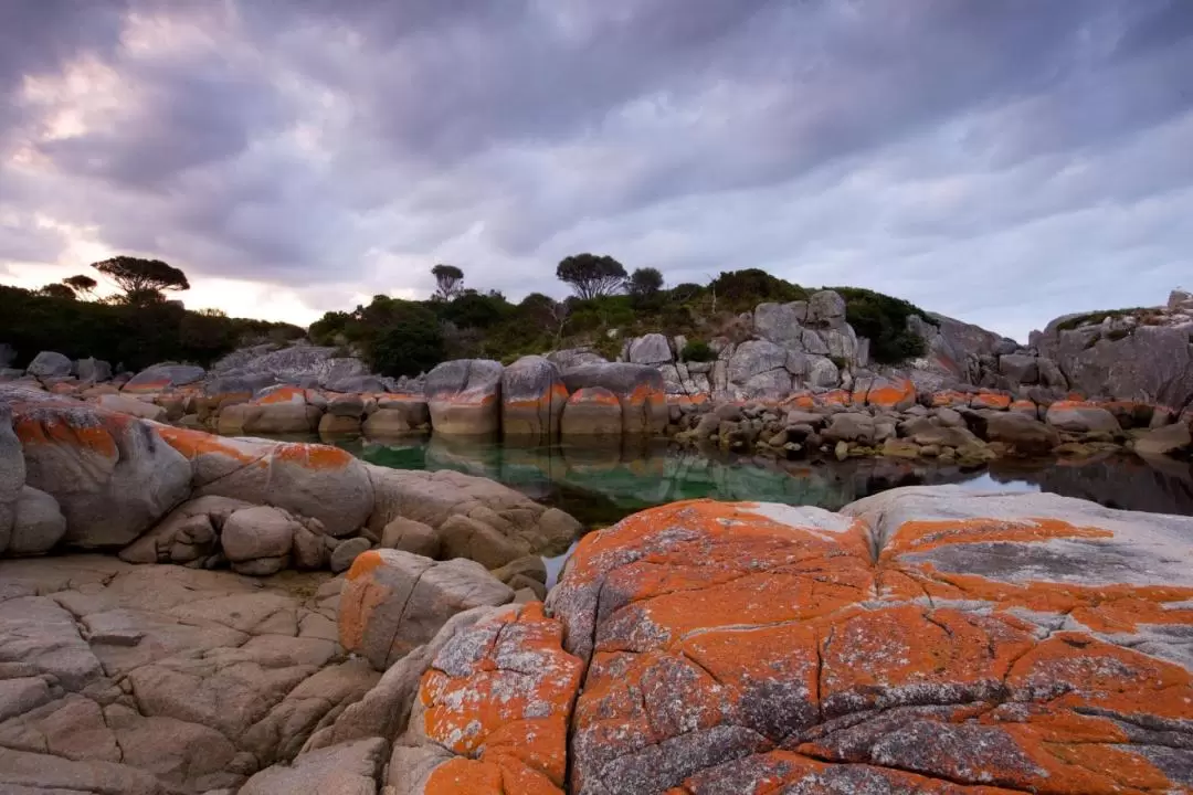 Bay of Fires Day Tour from Launceston