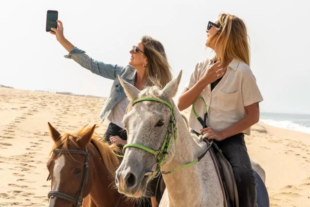 Horseback Riding Experience in Comporta and Setubal City Tour from Lisbon