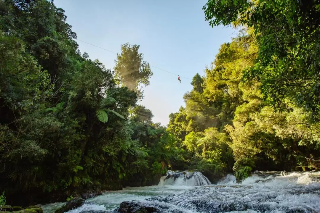 Okere Falls Zipline Experience in Rotorua