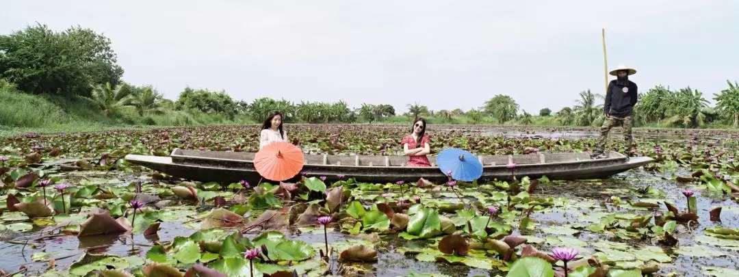 紅蓮花海＆吞武里市場泰式文化巡禮體驗