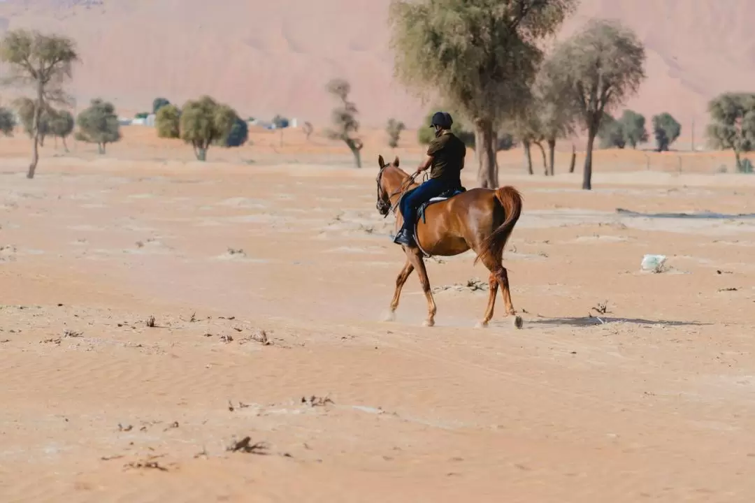 沙加 Mleiha 考古中心騎馬體驗
