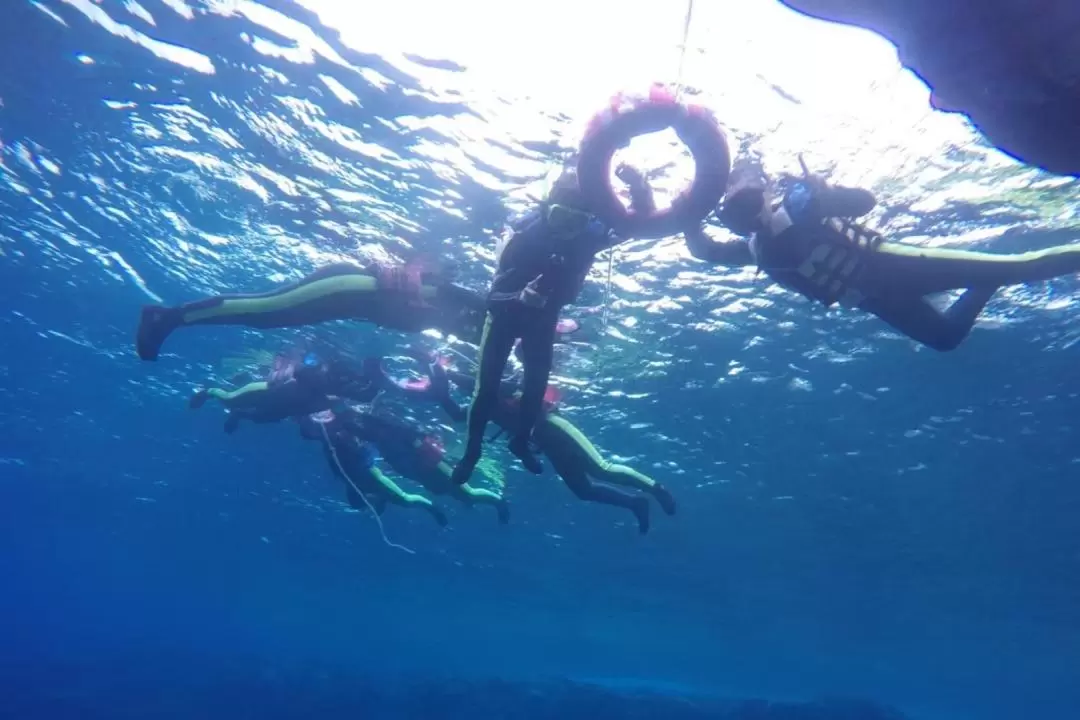 台東｜蘭嶼浮潛體驗