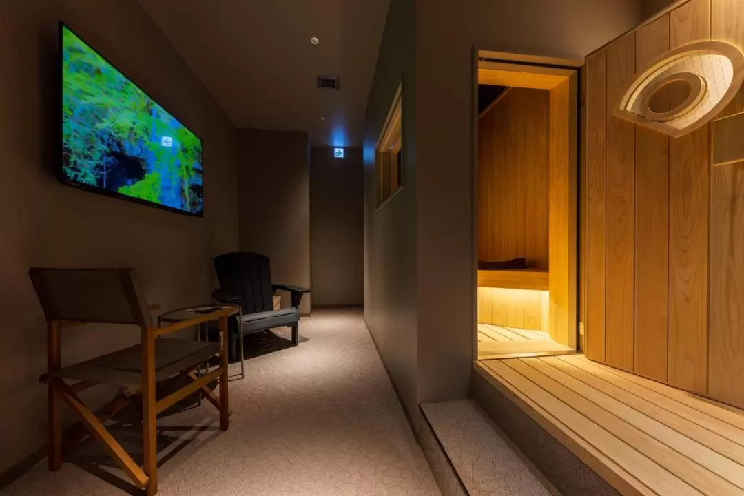 Private E-Sauna Experience in Tokyo