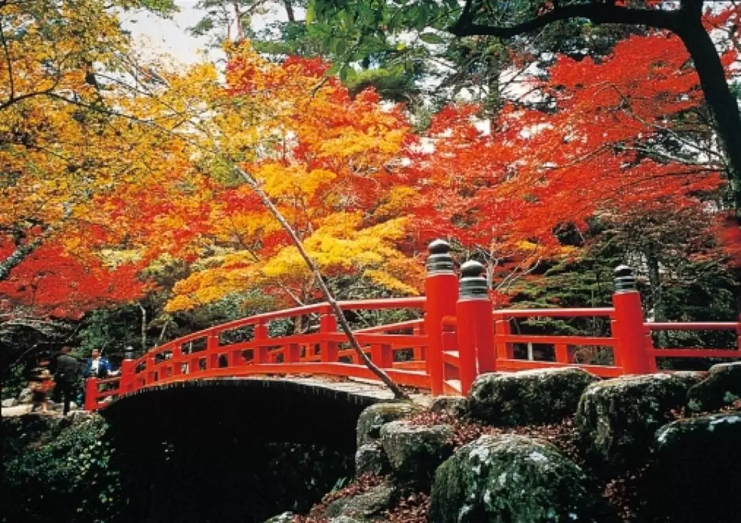 Hiroshima Miyajima One Day Private Tour from Osaka