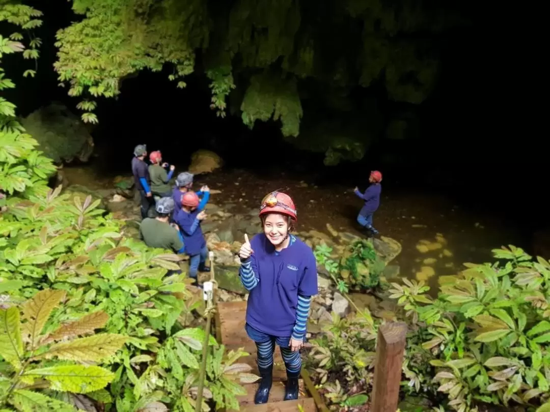 Off the Beaten Track Glow Worm Guided Eco Tour in Waitomo