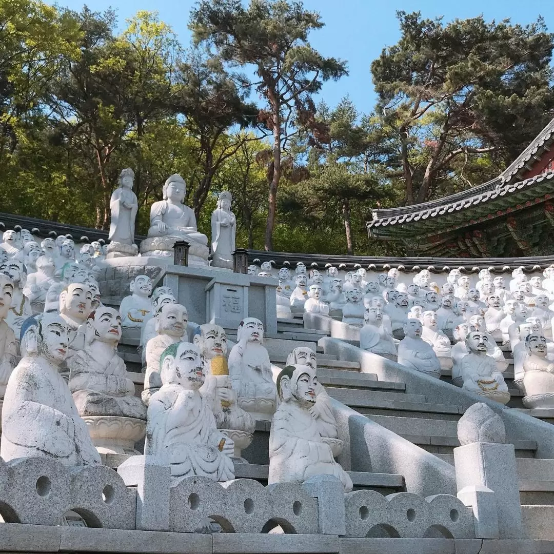 非武装地帯・江華島 日帰りツアー（ソウル発）