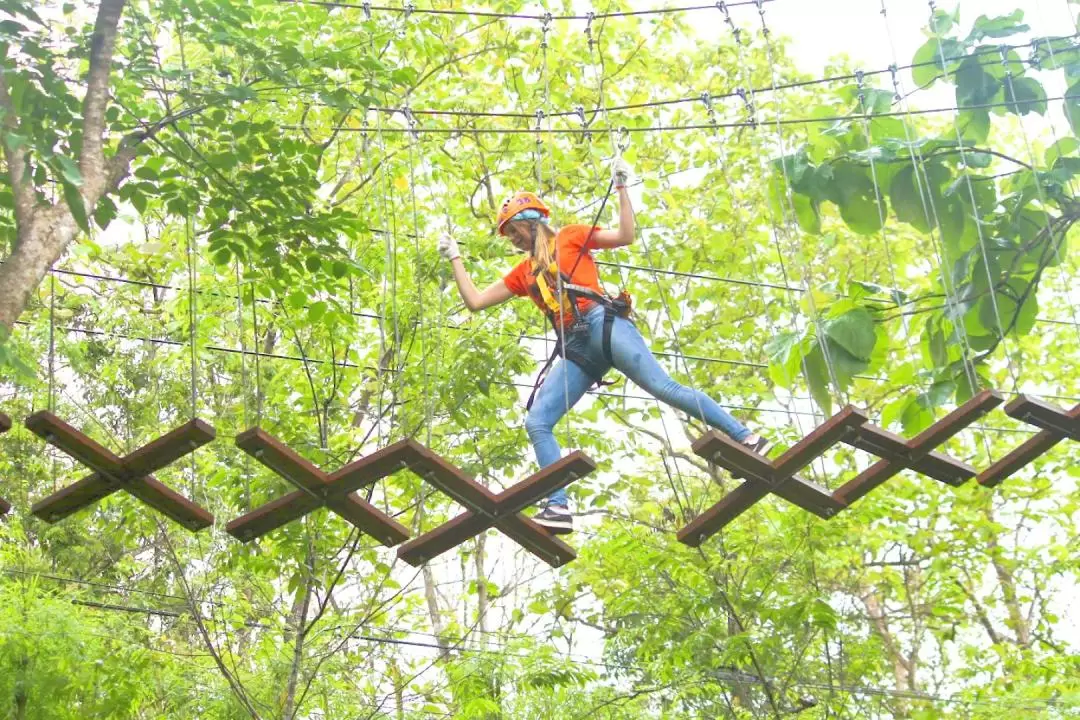 清邁鳳凰冒險樂園叢林飛索體驗