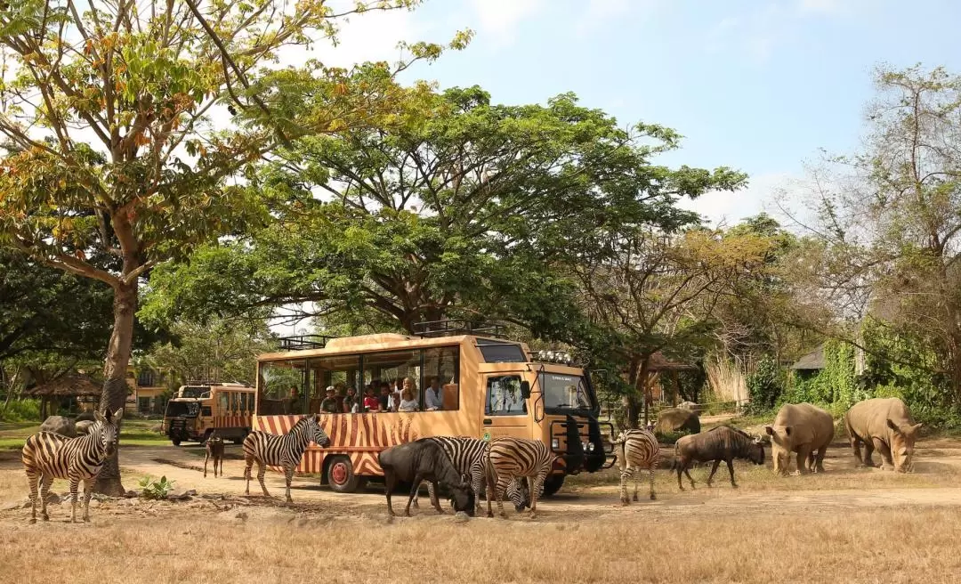 Best of Bali 1 Day Tour for Korean Family