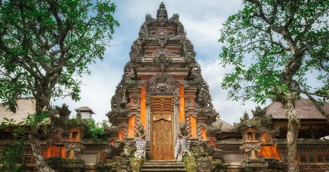 Central Bali All-You-Can-See Tour: Waterfall, Elephant Cave, Tirta Empul, Tegalalang Rice Terrace & Sacred Monkey Forest