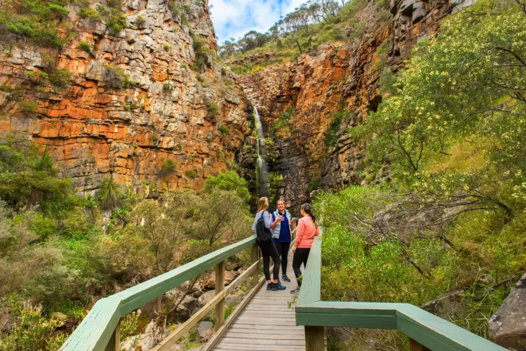 Morialta Wilderness and Wildlife Hike in Adelaide