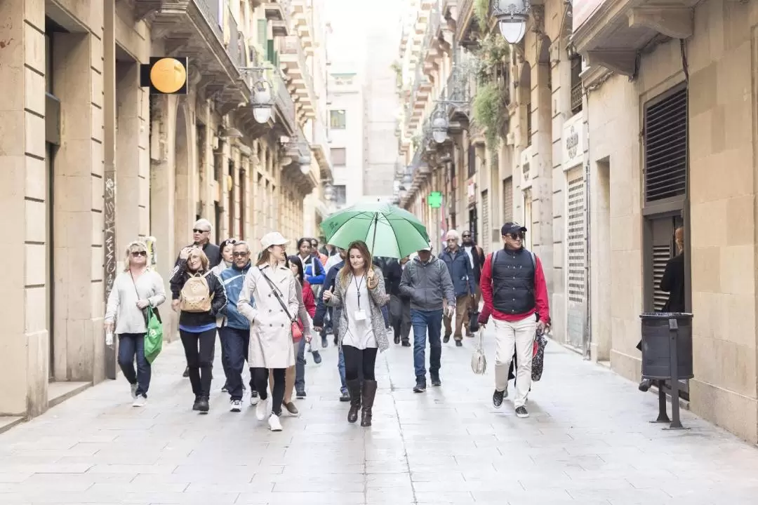 Barcelona Highlights Guided Tour