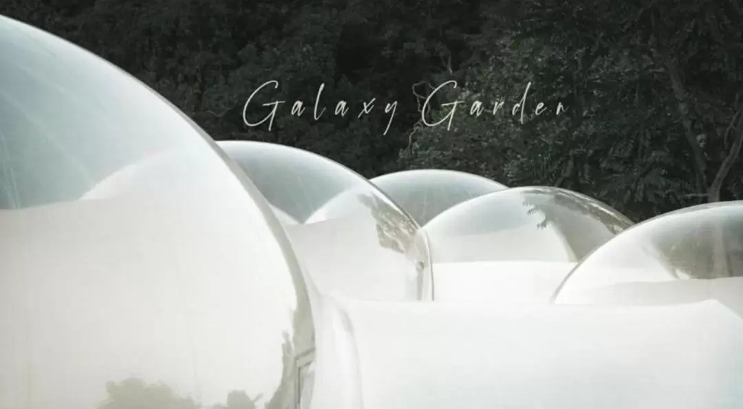 Natural Glamping Experience in Galaxy Garden(Lantau)