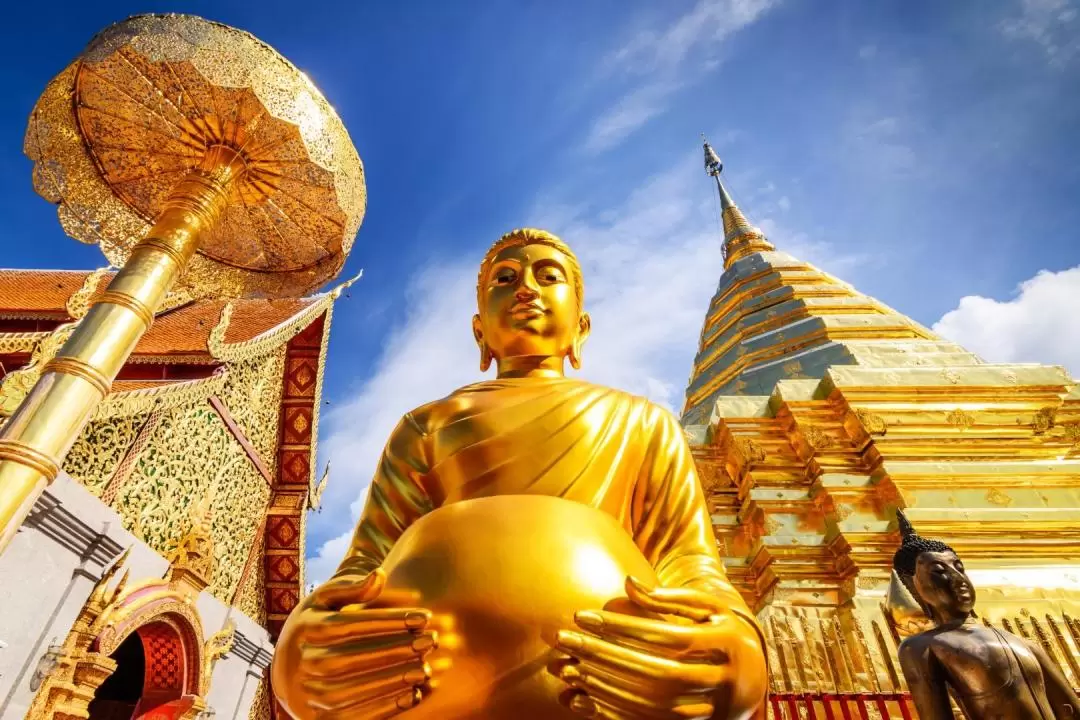 Wat Umong and Doi Suthep Temples Half Day Tour