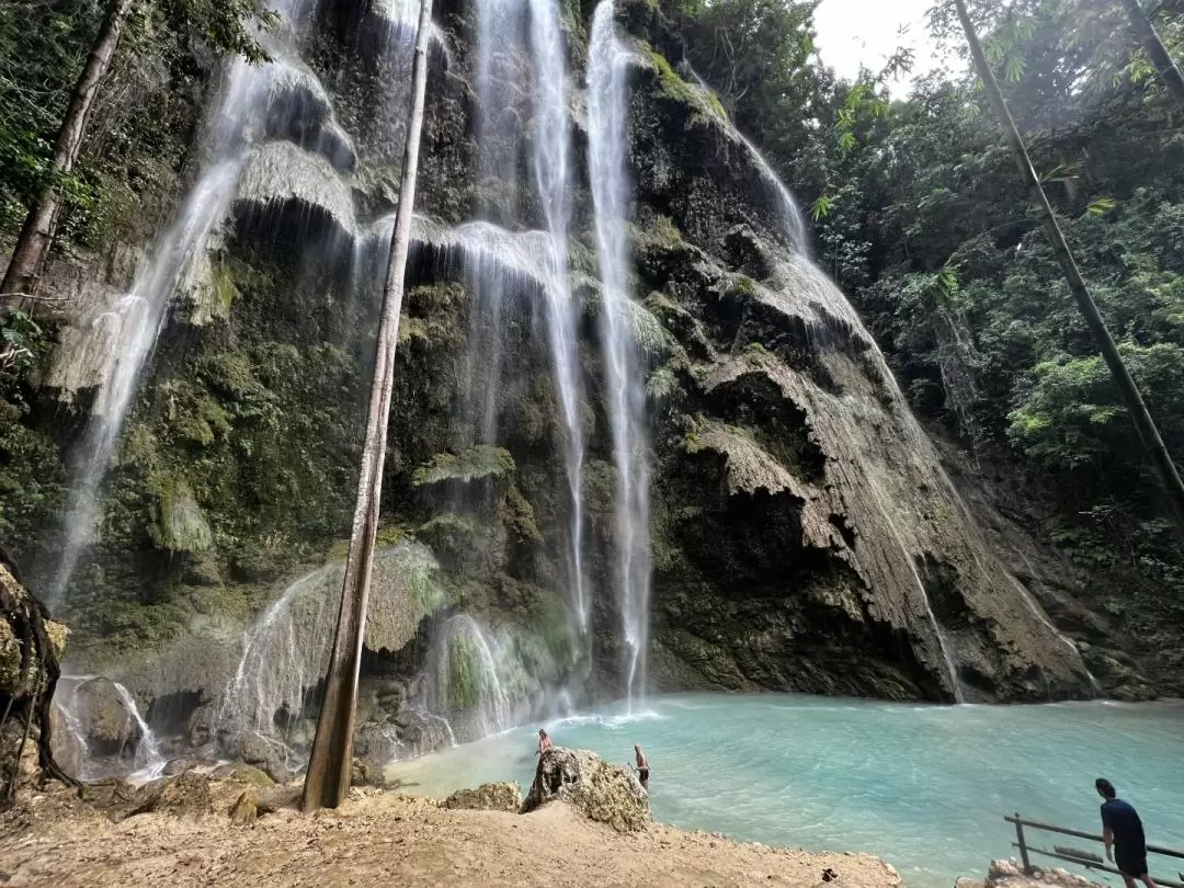 Whale Shark Encounter, Sumilon Sandbar, and Canyoneering in Kawasan Falls