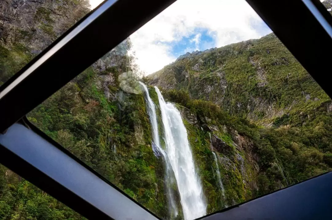 Pure Milford Premium Milford Sound Cruise