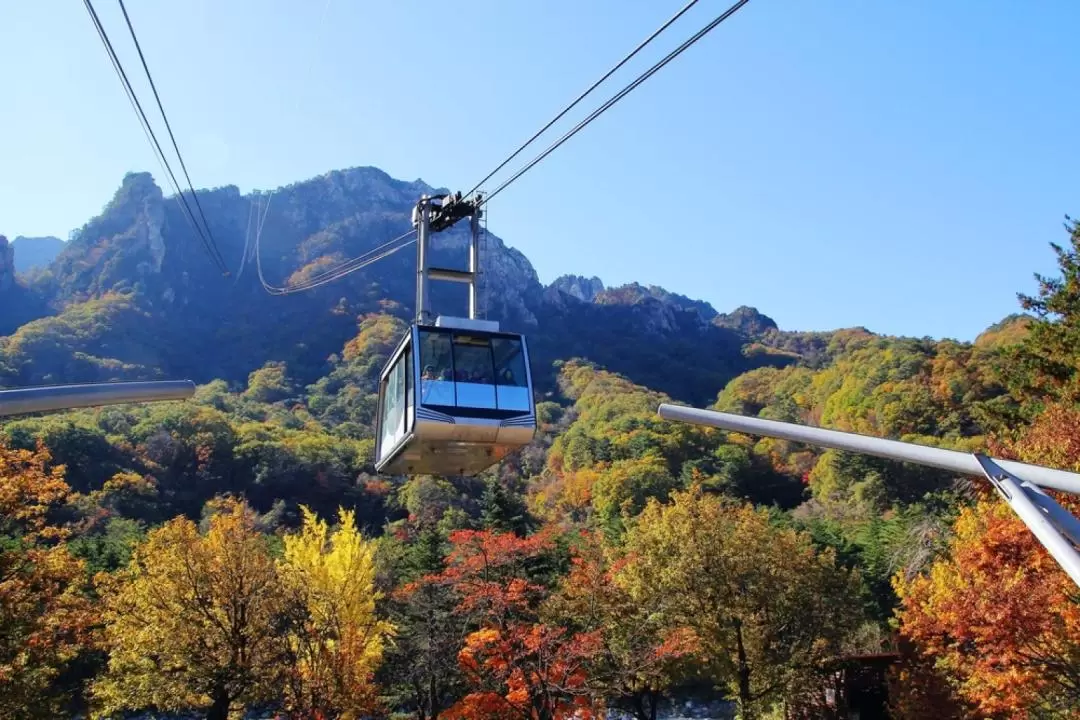 Mt. Seorak / Naksansa Temple Day Tour from Seoul