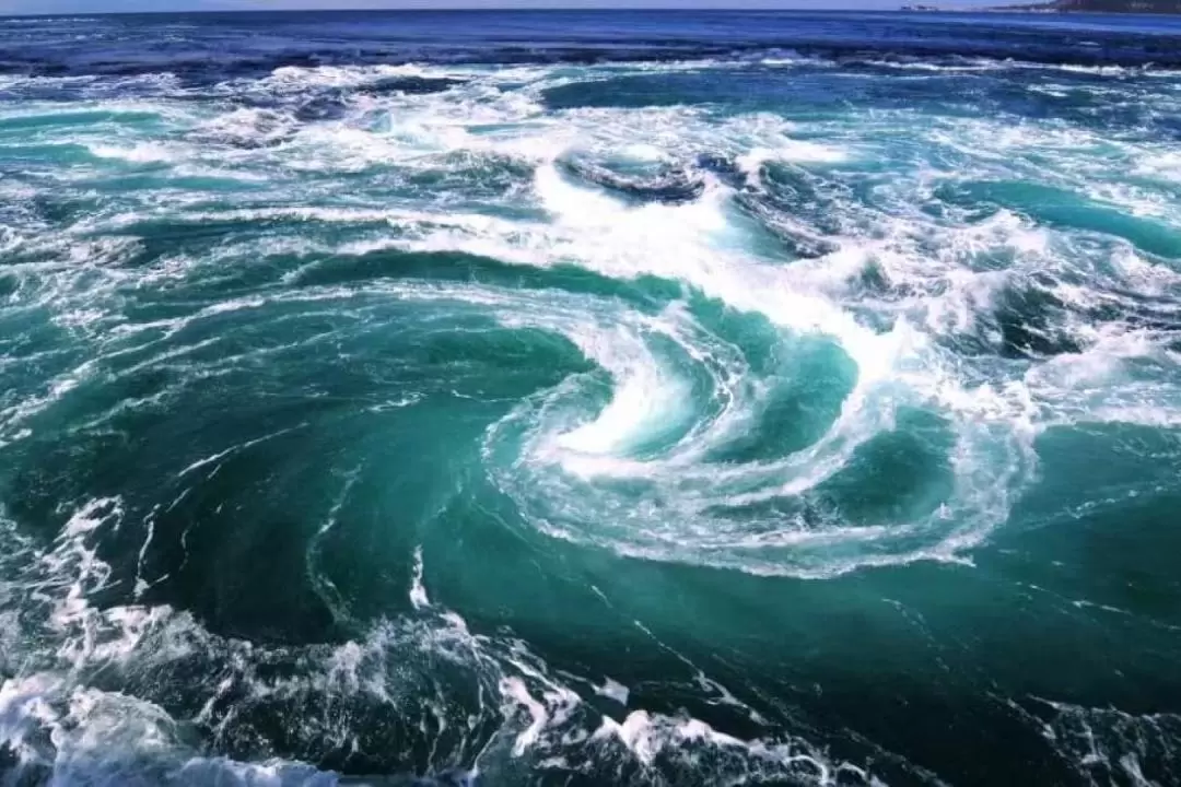 Naruto Whirlpools, Awa Odori Kaikan, & Awaji Island Tour from Osaka