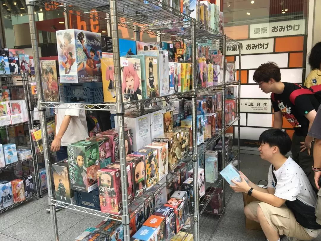 Akihabara Anime Manga Half Day Private Walking Tour 