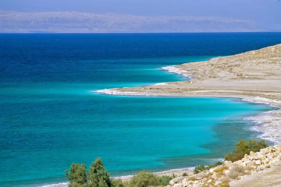 Dead Sea Half Day Tour from Amman 