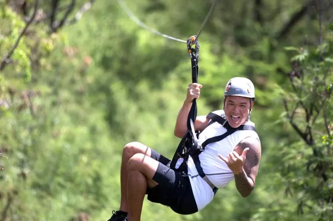 Coral Crater 6-Zipline Tour in O'ahu