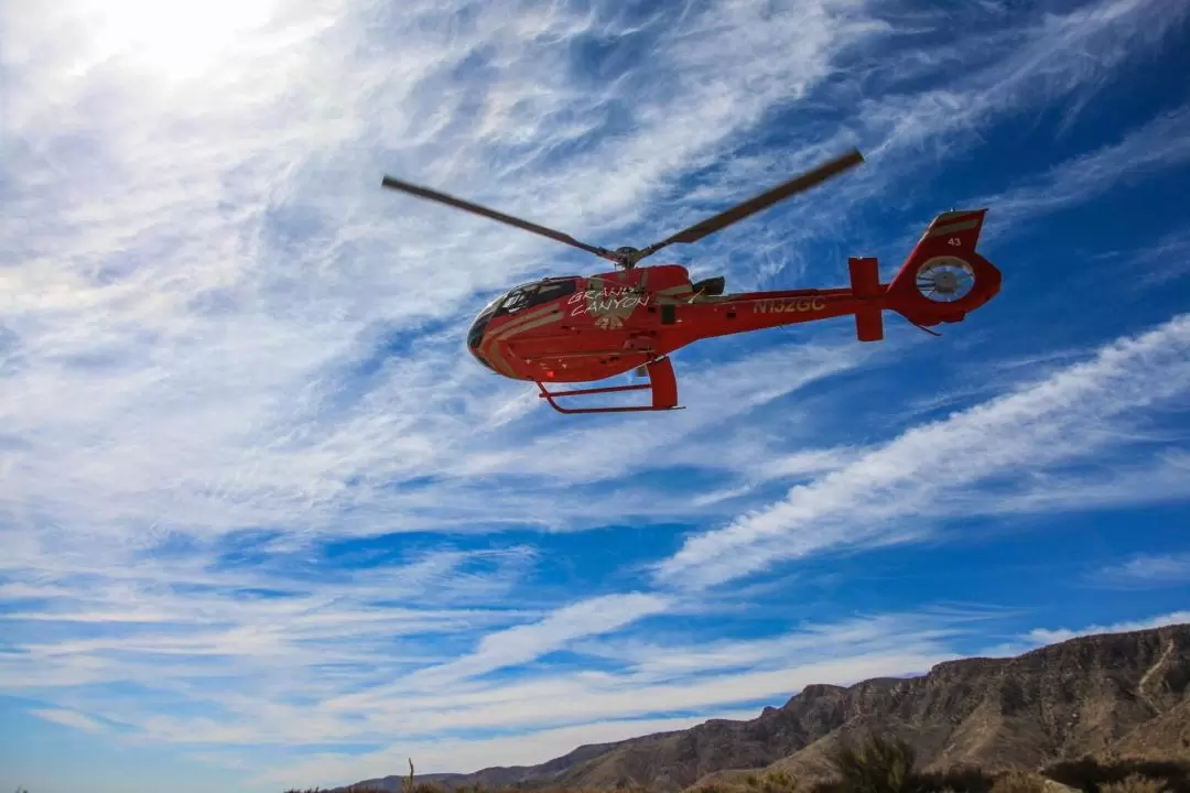 Skyview Horseshoe Bend Air Tour from Page 