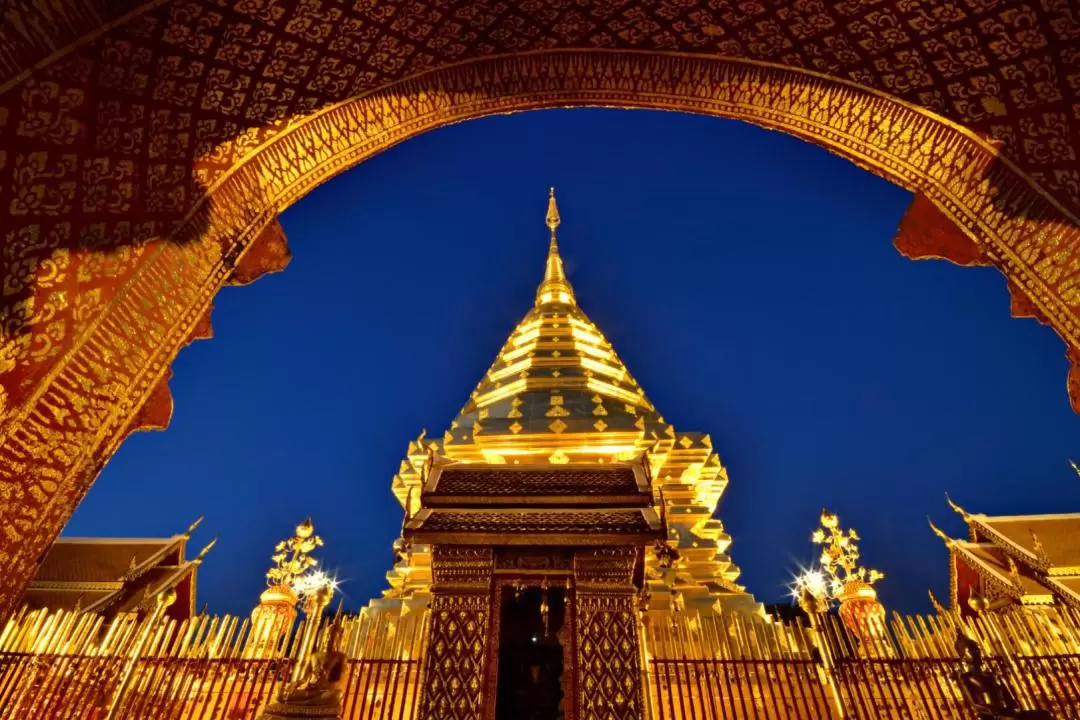 Doi Suthep and Wat Umong Night Tour